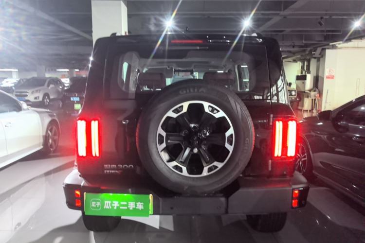Used Tank 300 New Energy 2025 Model, Hi4-T 36.7kWh Rear