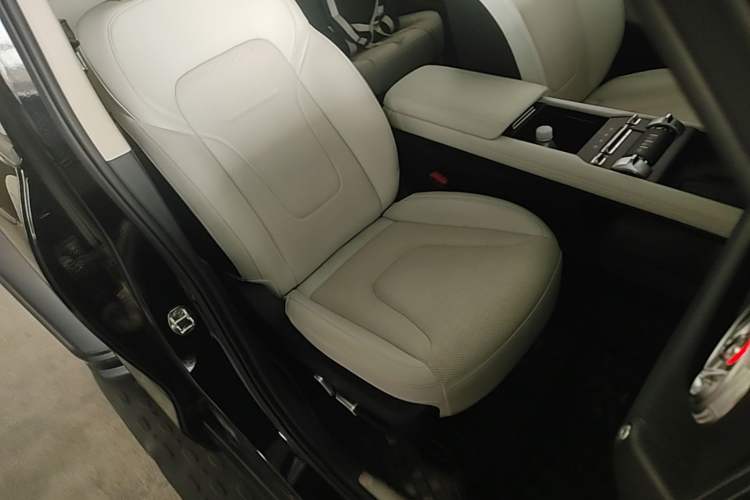 Used Tank 300 New Energy 2025 Hi4-T Right Front Seat