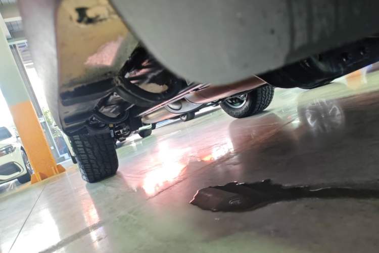 Used Tank 300 New Energy 2025 Hi4-T Right Side Sill