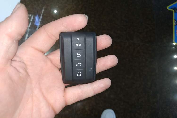 Used Tank 300 New Energy 2025 Hi4-T Vehicle Key