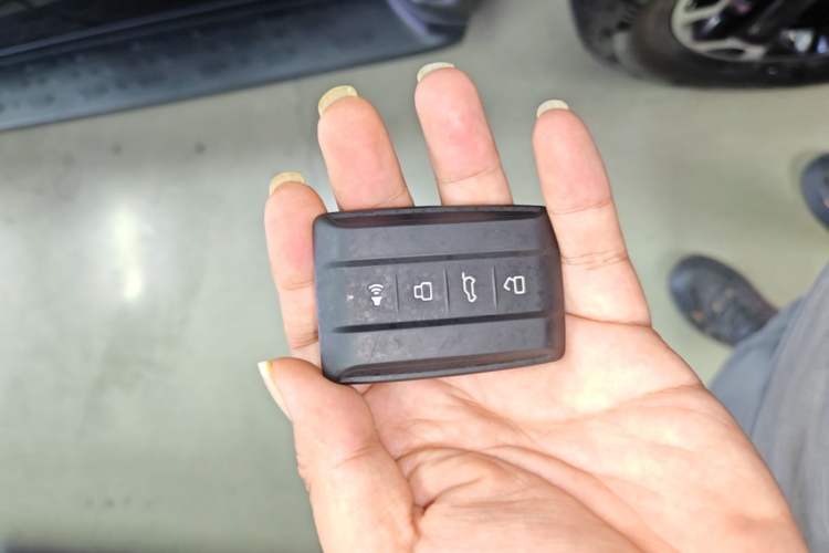 Used Tank 300 New Energy 2025 Hi4-T Vehicle Key