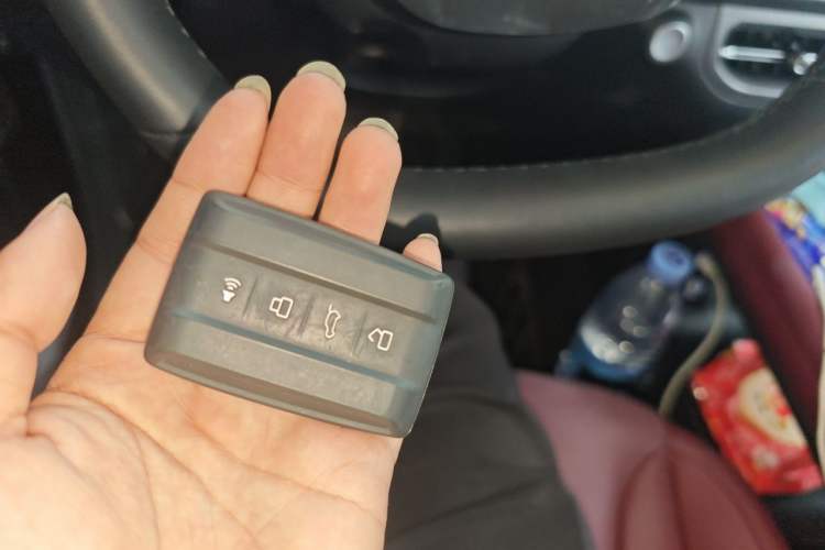 Used Tank 300 New Energy 2025 Hi4-T Vehicle Key