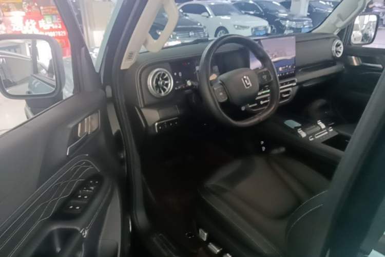 Used Tank 300 New Energy 2025 Hi4-T Driver Seat