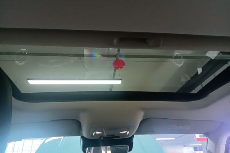 Used Tank 300 New Energy 2025 Hi4-T Headliner