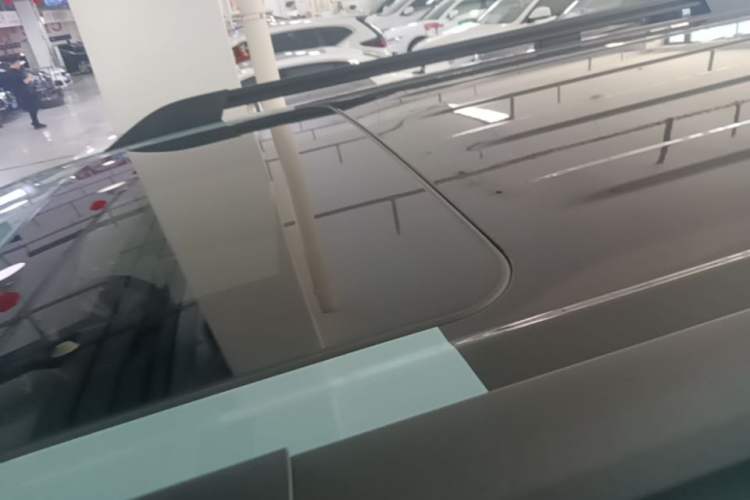 Used Tank 300 New Energy 2025 Hi4-T Roof