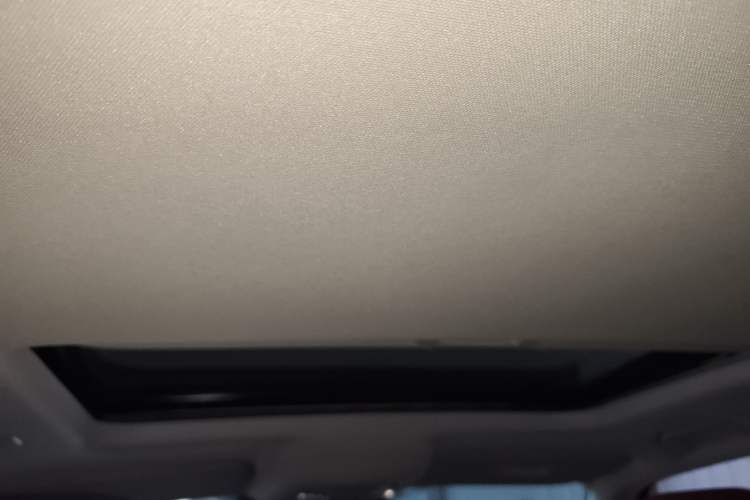 Used Tank 300 New Energy 2025 Hi4-T Headliner