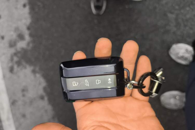 Used Tank 300 New Energy 2025 Hi4-T Vehicle Key