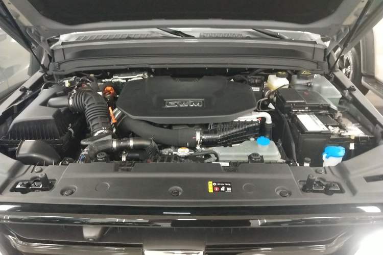 Used Tank 300 New Energy 2025 Hi4-T Engine Bay