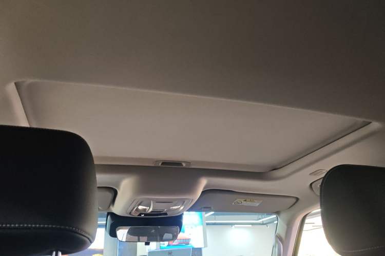 Used Tank 300 New Energy 2025 Hi4-T Headliner