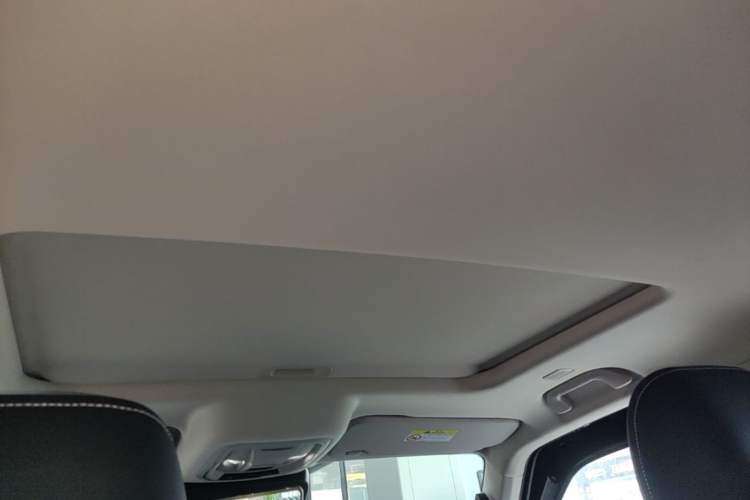 Used Tank 300 New Energy 2025 Hi4-T Headliner