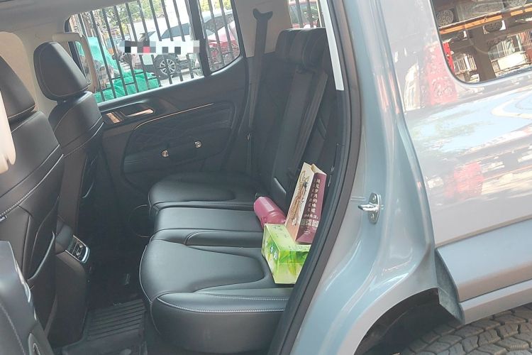 Used Tank 300 New Energy 2025 Hi4-T Left Rear Seat