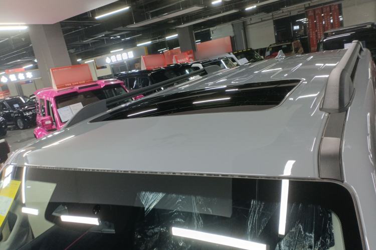 Used Tank 300 New Energy 2025 Hi4-T Roof