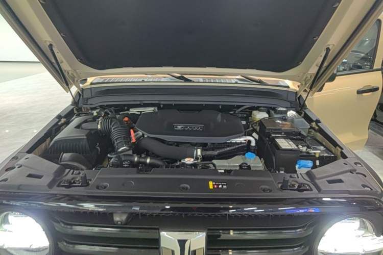 Used Tank 300 New Energy 2025 Hi4-T Engine Bay