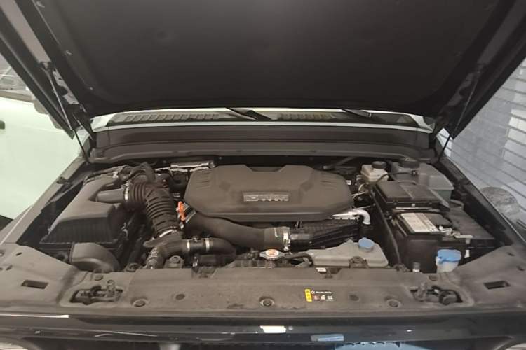 Used Tank 300 New Energy 2025 Hi4-T Engine Bay