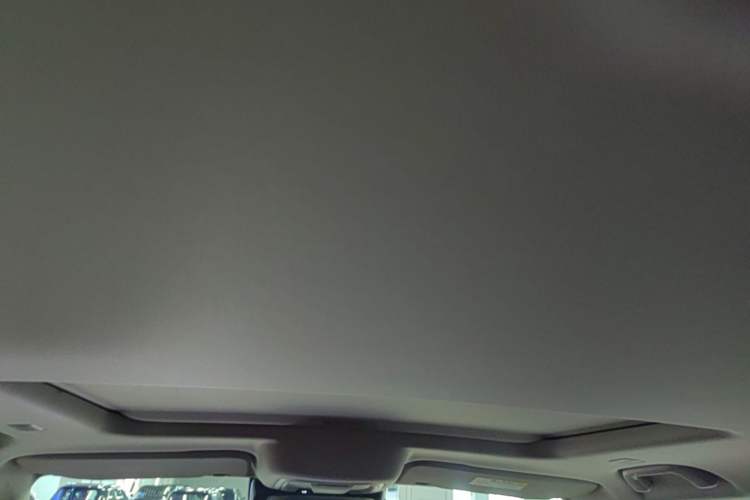Used Tank 300 New Energy 2025 Hi4-T Headliner