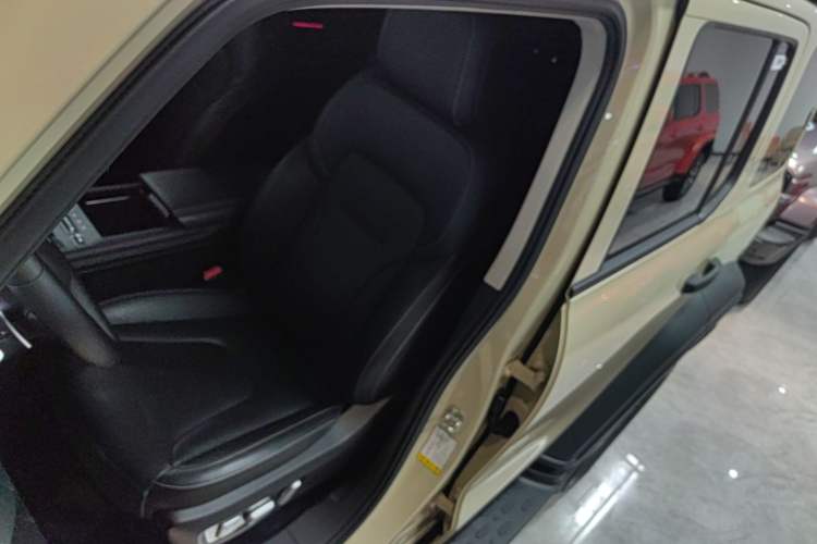 Used Tank 300 New Energy 2025 Hi4-T Left Front Seat