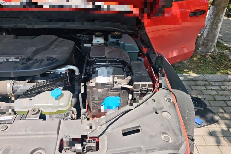 Used Tank 300 New Energy 2025 Hi4-T Engine Bay Left