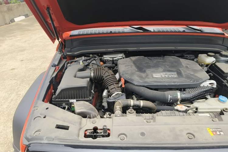 Used Tank 300 New Energy 2025 Hi4-T Engine Bay Right
