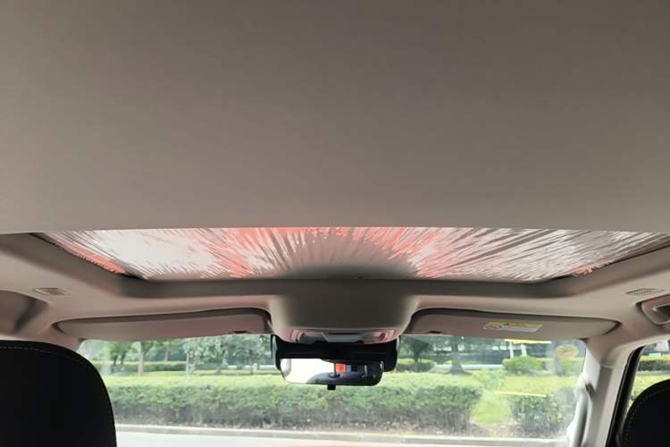 Used Tank 300 New Energy 2025 Hi4-T Headliner