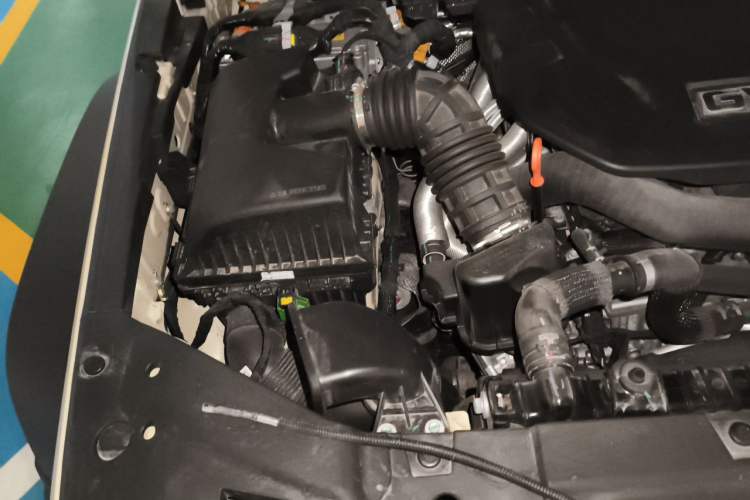 Used Tank 300 New Energy 2025 Hi4-T Engine Bay Right