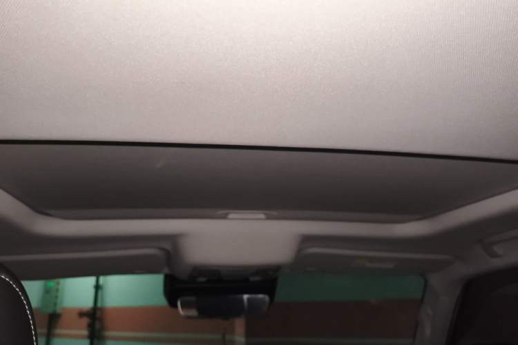 Used Tank 300 New Energy 2025 Hi4-T Headliner