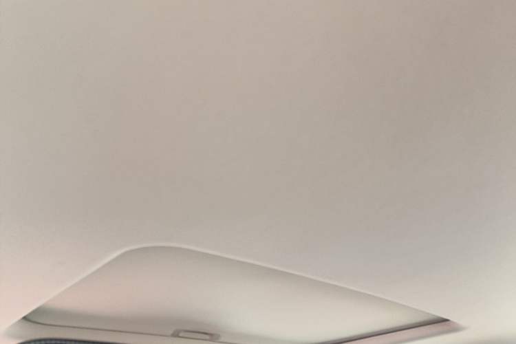 Used Tank 300 New Energy 2025 Hi4-T Headliner