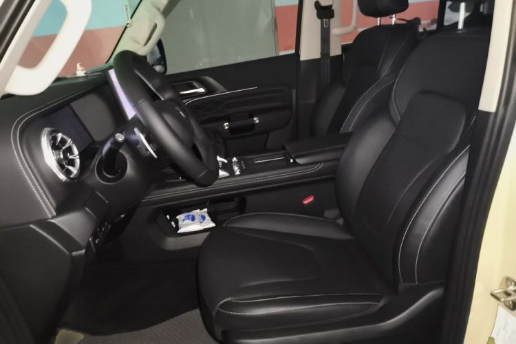 Used Tank 300 New Energy 2025 Hi4-T Left Front Seat