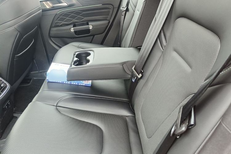 Used Tank 300 New Energy 2025 Hi4-T Left Rear Seat