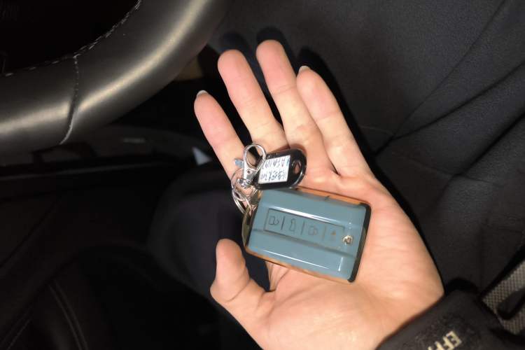 Used Tank 300 New Energy 2025 Hi4-T Interior 1