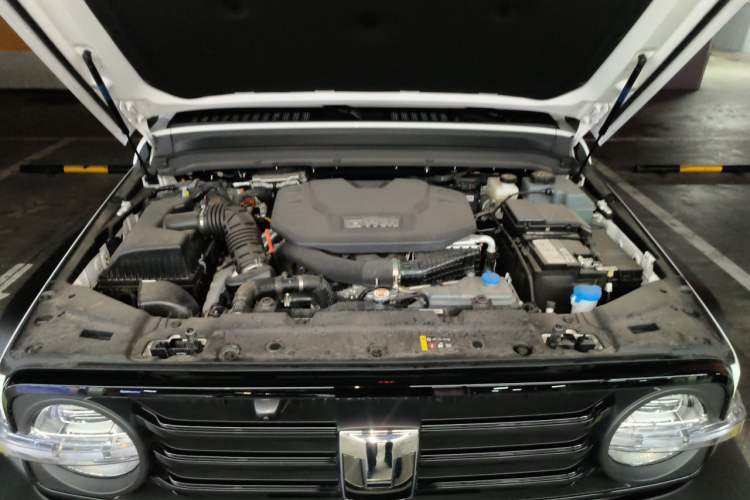 Used Tank 300 New Energy 2025 Hi4-T Engine Bay