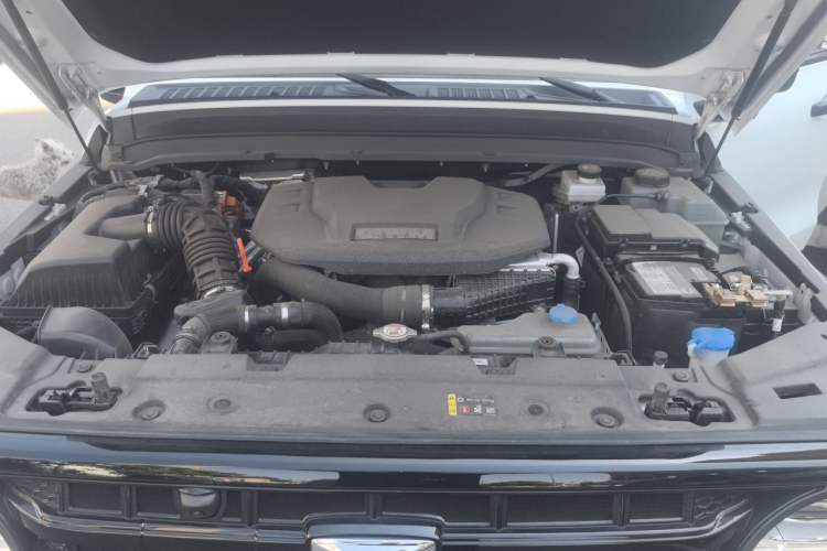 Used Tank 300 New Energy 2025 Hi4-T Engine Bay