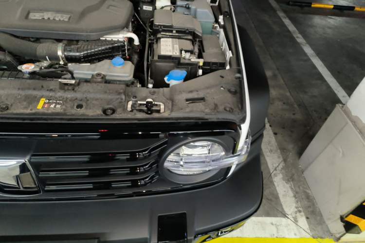 Used Tank 300 New Energy 2025 Hi4-T Engine Bay Left