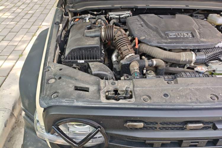 Used Tank 300 New Energy 2025 Hi4-T Engine Bay Right