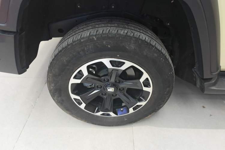 Used Tank 300 New Energy 2025 Hi4-T Exterior 8