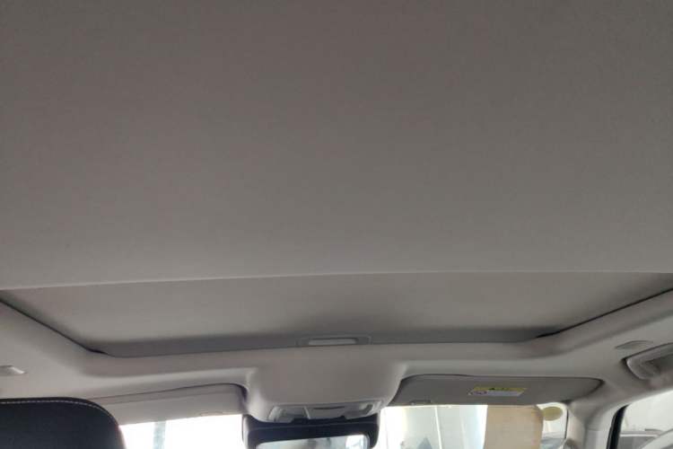 Used Tank 300 New Energy 2025 Hi4-T Headliner