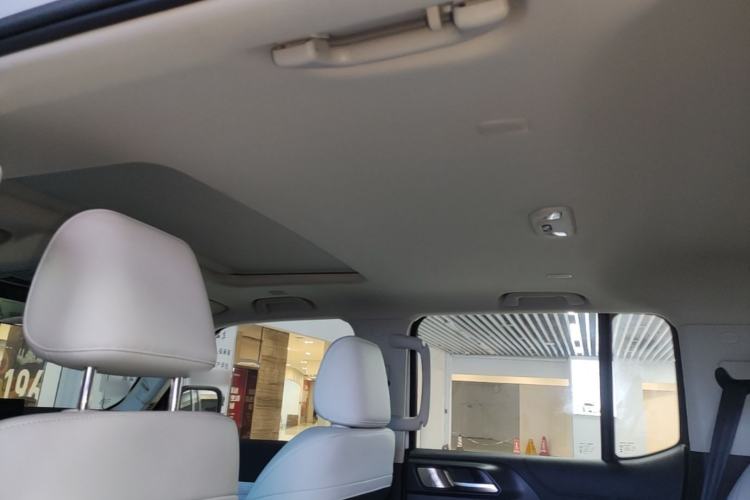Used Tank 300 New Energy 2025 Hi4-T Headliner