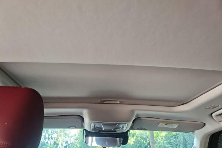 Used Tank 300 New Energy 2025 Hi4-T Headliner
