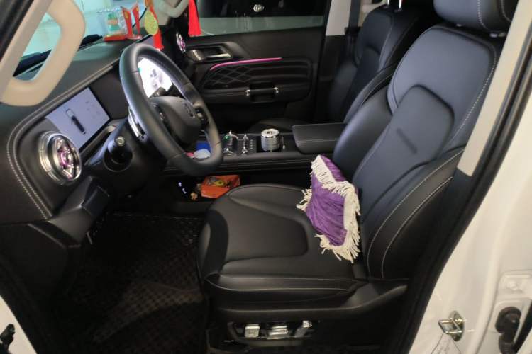 Used Tank 300 New Energy 2025 Hi4-T Left Front Seat