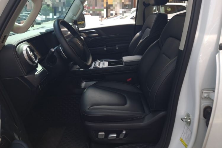 Used Tank 300 New Energy 2025 Hi4-T Left Front Seat