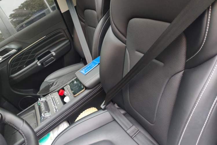 Used Tank 300 New Energy 2025 Hi4-T Left Front Seat