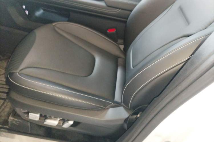 Used Tank 300 New Energy 2025 Hi4-T Left Front Seat