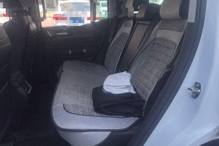 Used Tank 300 New Energy 2025 Hi4-T Left Rear Seat