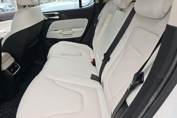 Used Tank 300 New Energy 2025 Hi4-T Left Rear Seat