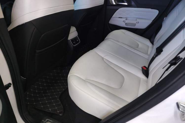 Used Tank 300 New Energy 2025 Hi4-T Left Rear Seat