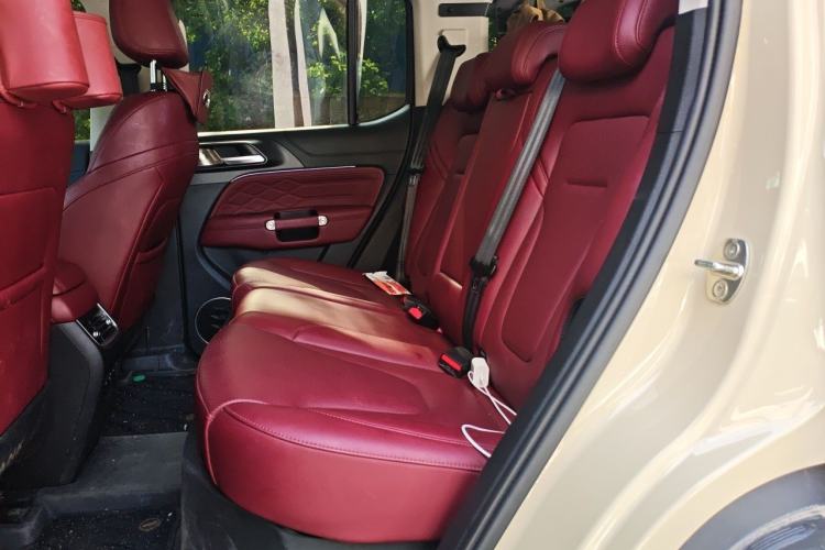 Used Tank 300 New Energy 2025 Hi4-T Left Rear Seat