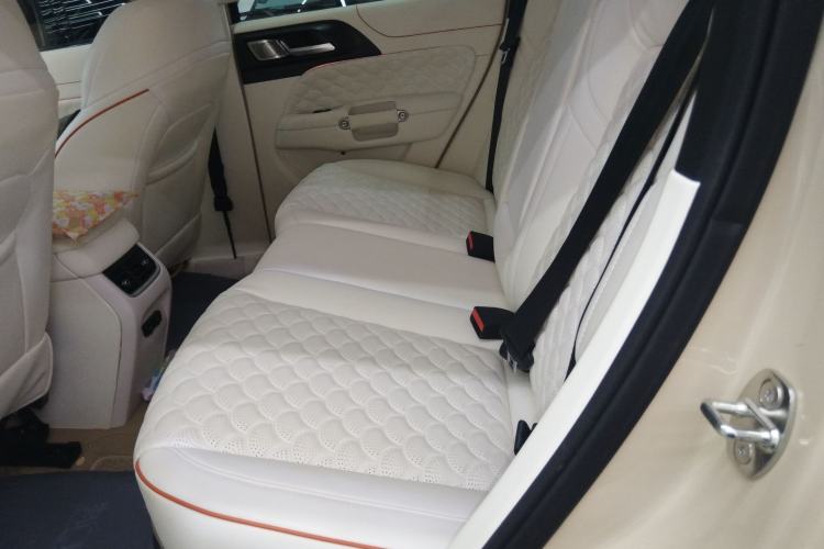 Used Tank 300 New Energy 2025 Hi4-T Left Rear Seat