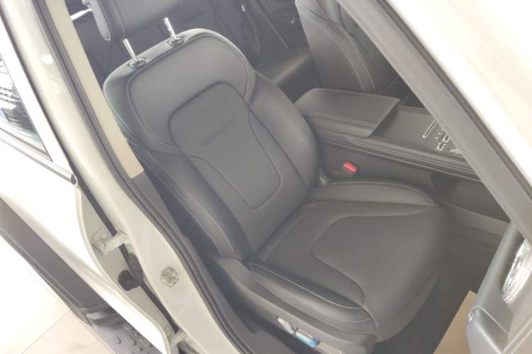 Used Tank 300 New Energy 2025 Hi4-T Right Front Seat