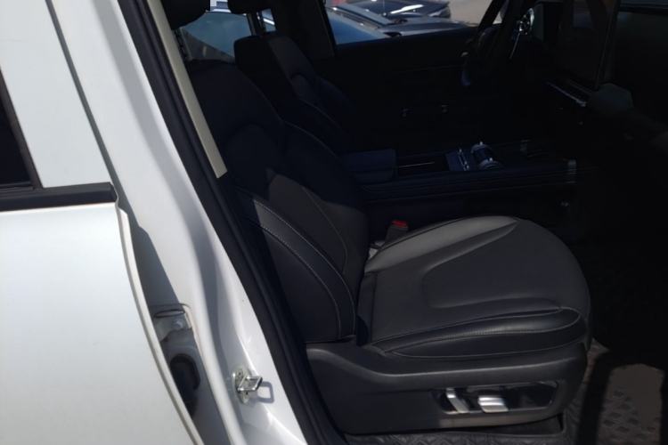 Used Tank 300 New Energy 2025 Hi4-T Right Front Seat