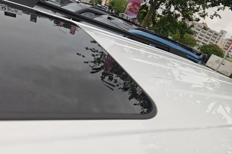 Used Tank 300 New Energy 2025 Hi4-T Roof