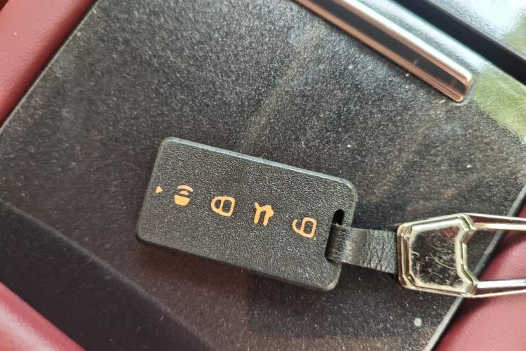 Used Tank 300 New Energy 2025 Hi4-T Vehicle Key